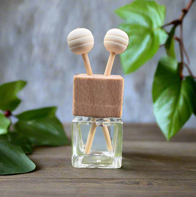 plant car air freshener vent clip Vent Clip Car Freshener, Mini Car Diffuser, Mini Reed Diffuser, Air Freshener